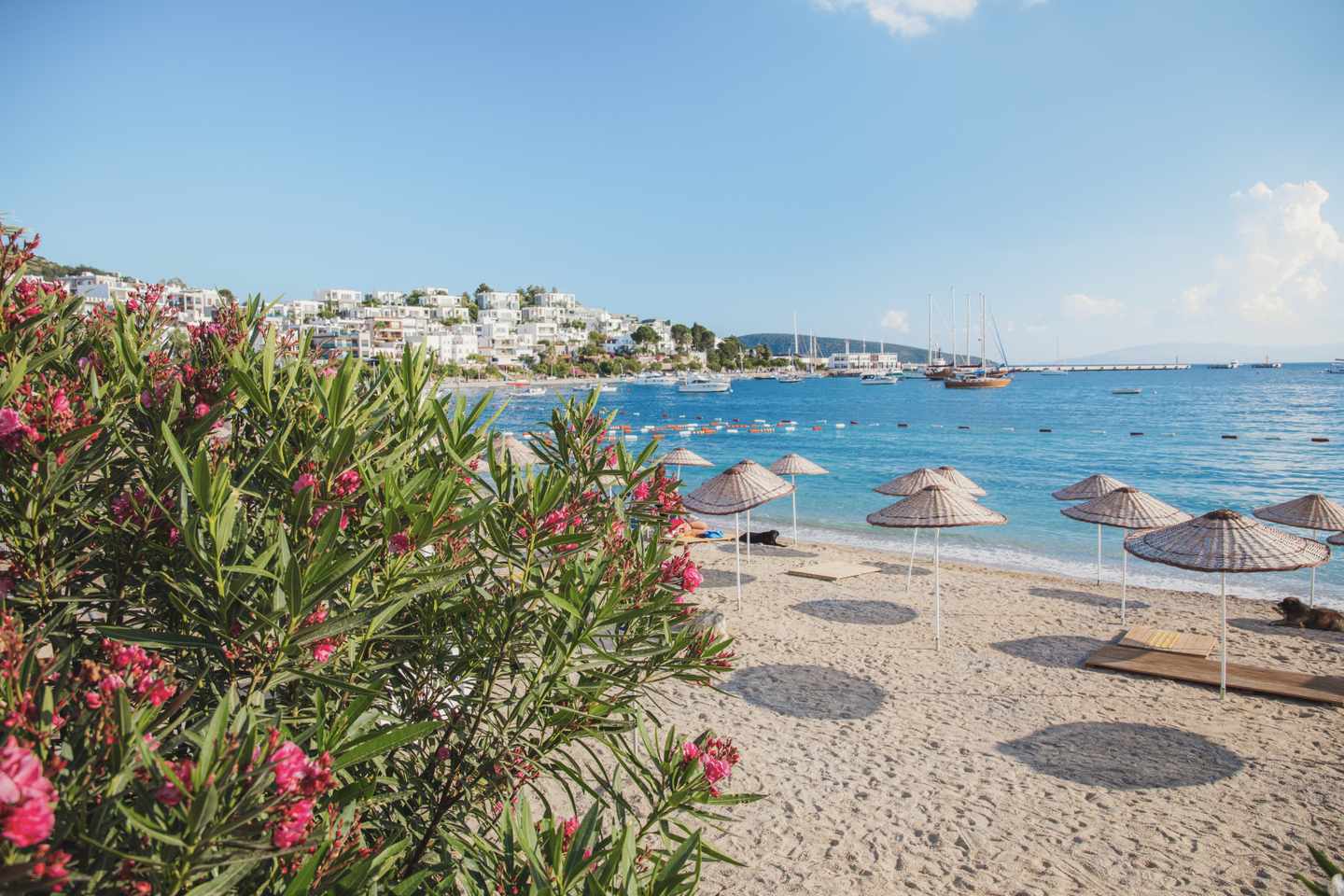 luxus-voyage-blick-auf-bodrum-strand-aegaeis-traditionelle-weisse-haeuser-bluemn-yachthafen-segelboote-yachten-in-bodrum-stadt-tuerkei-g-1197338271.jpg