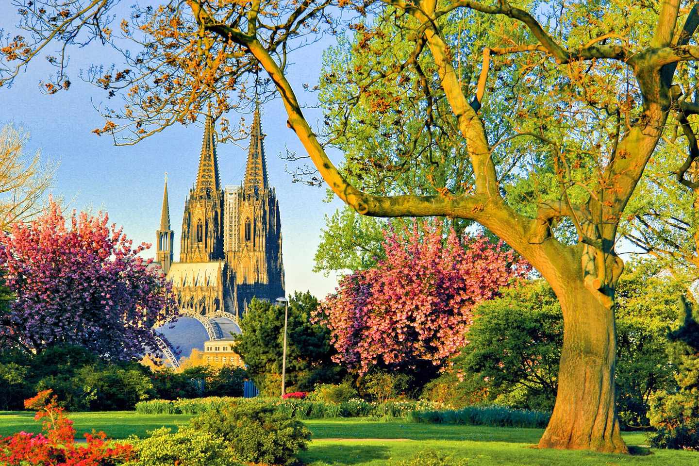koeln-dom-p-S46470.jpg
