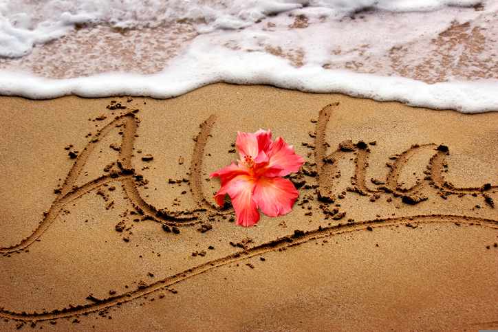 aloha-schriftzug-sand-blume-g-502298917.jpg