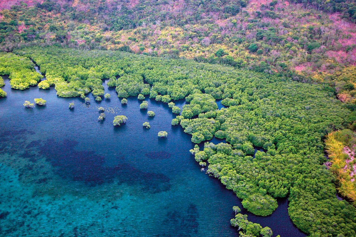 philippinen-palawan-p-C45792.jpg