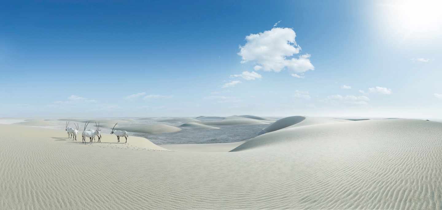qatar-wueste-tiere-wkz.jpg