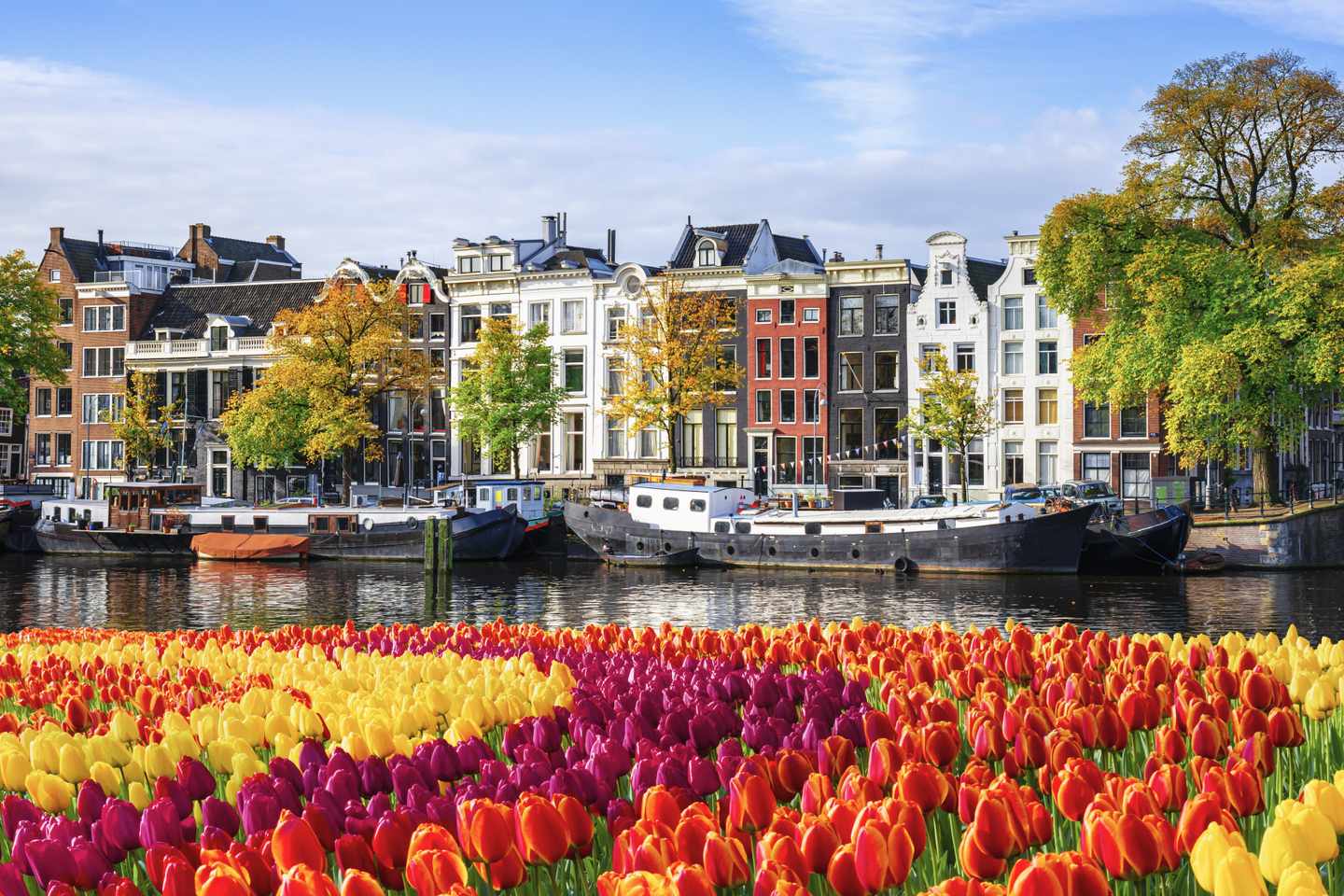 niederlande-amsterdam-g-2192860784-1.jpg