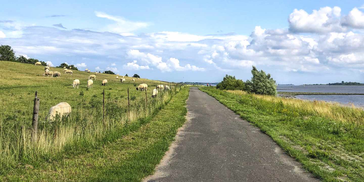 deutschland-elbe-radweg-bei-kollmar-g-2182602754.jpg
