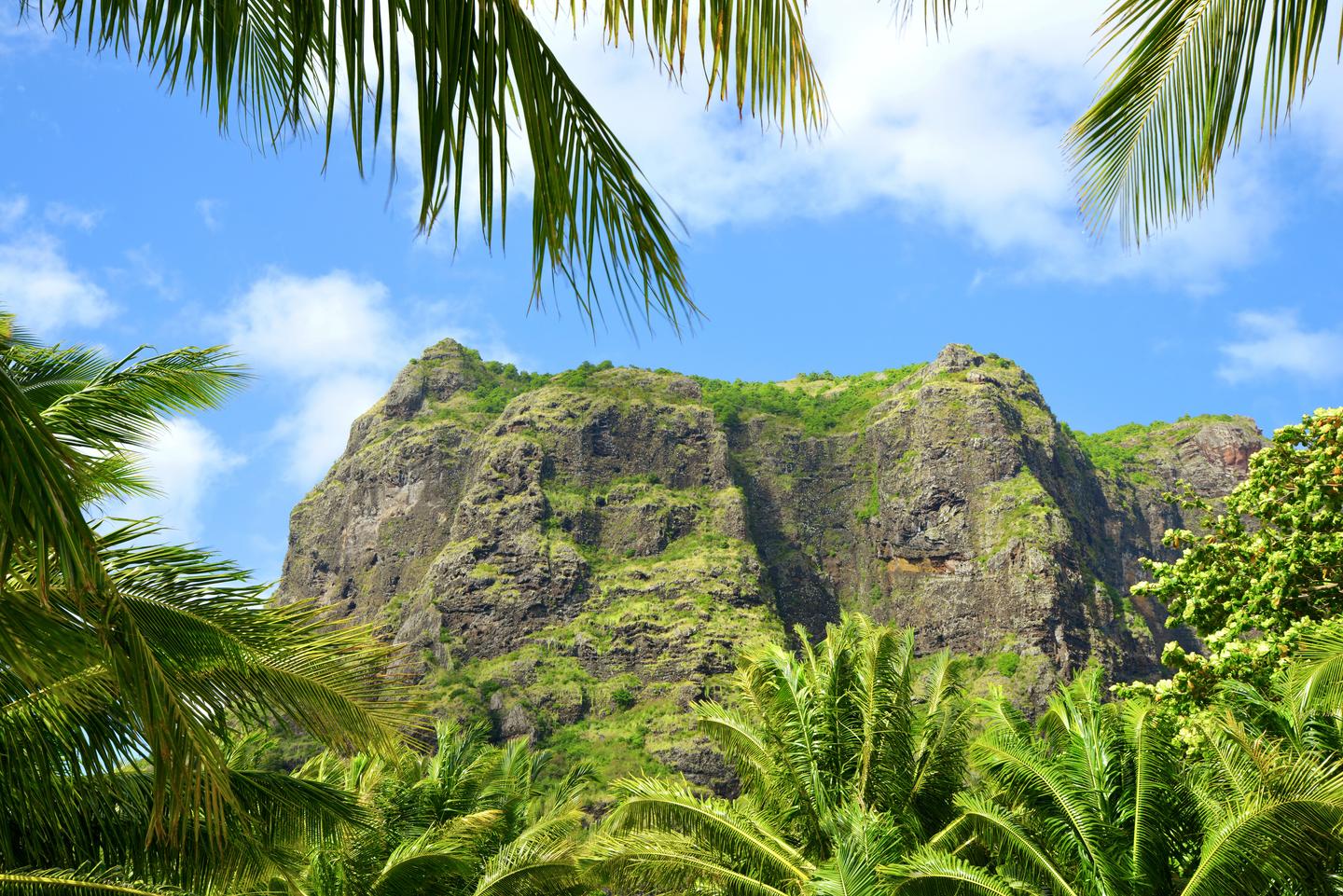 blt1e3cf9f6a6aafce0-mauritius-le-morne-brabant-gipfel-berg-palmen-g-1165639773.jpg mauritius-le-morne-brabant-gipfel-berg-palmen-g-1165639773.jpg