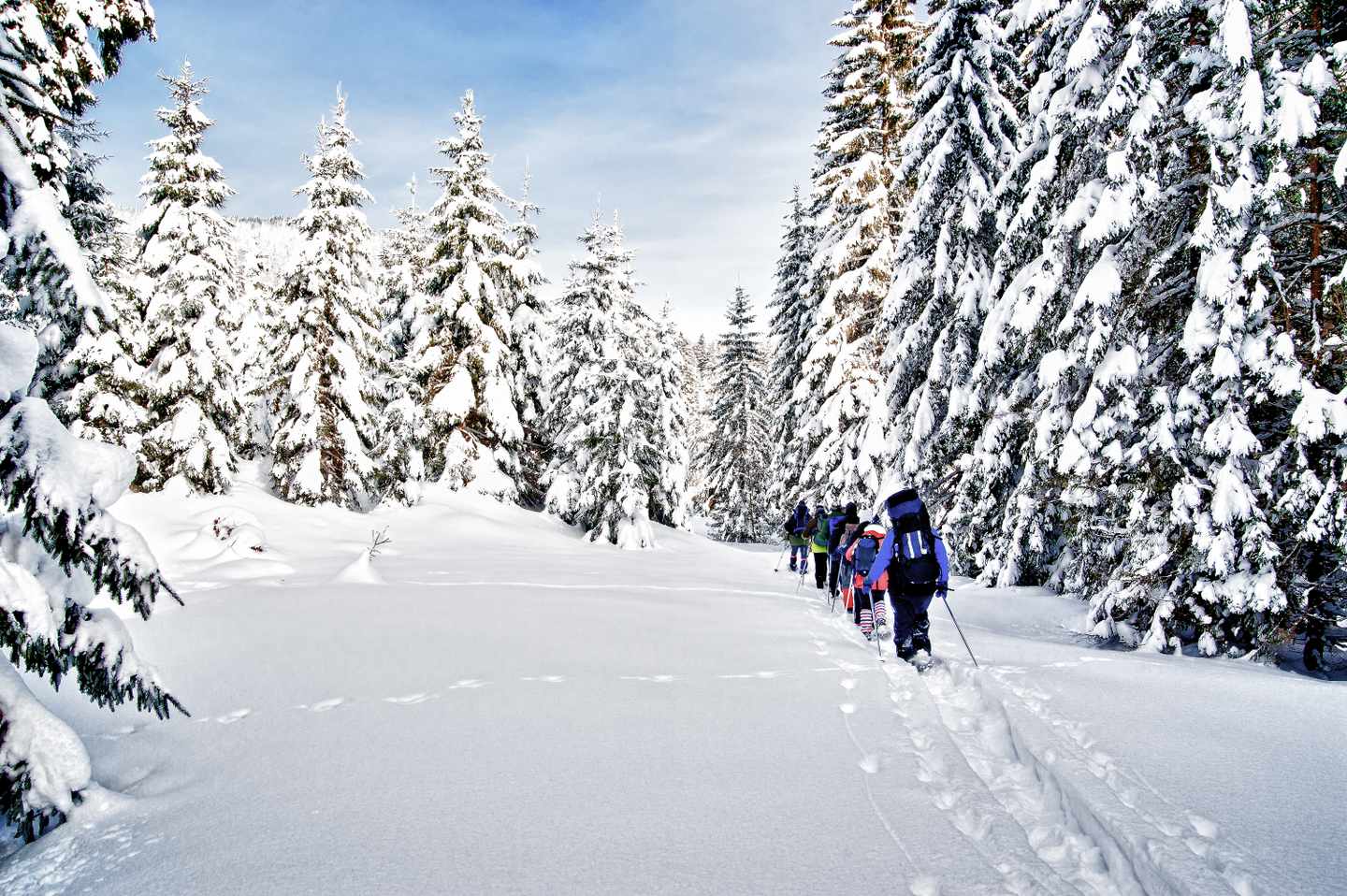 schneeschuh-wandern-im-winterwald-g-154078883.jpg