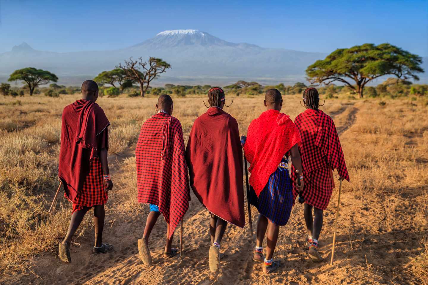 kenia-gruppe-massai-krieger-g-1303740472.jpg