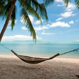 thailand-koh-samui-haengematte-strand-t-147286126.jpg