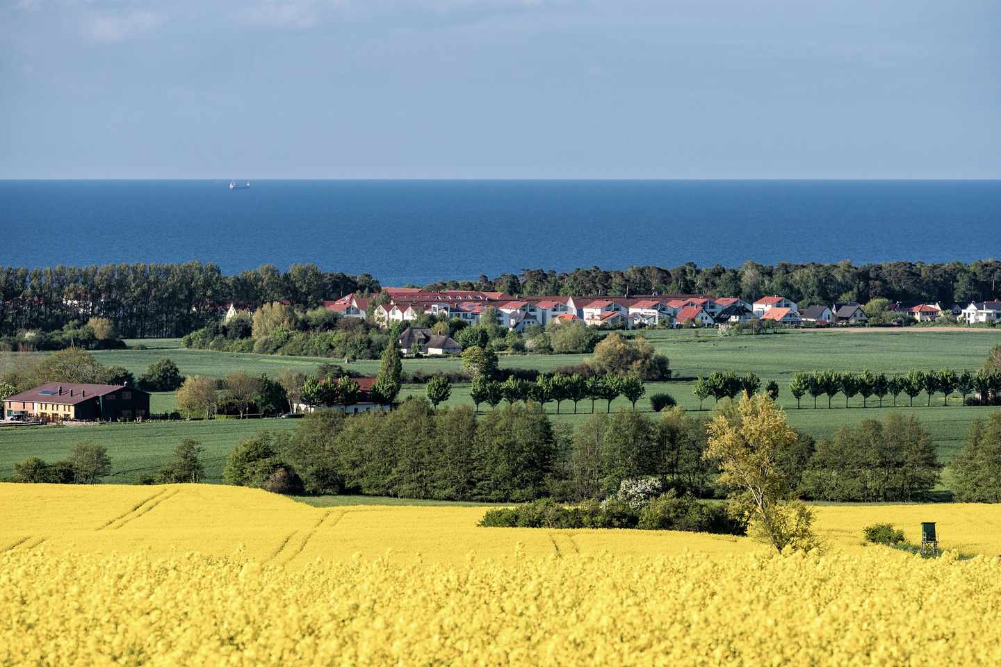 deutschland-ostsee-kuehlungsborn-feld-g-476622354.jpg