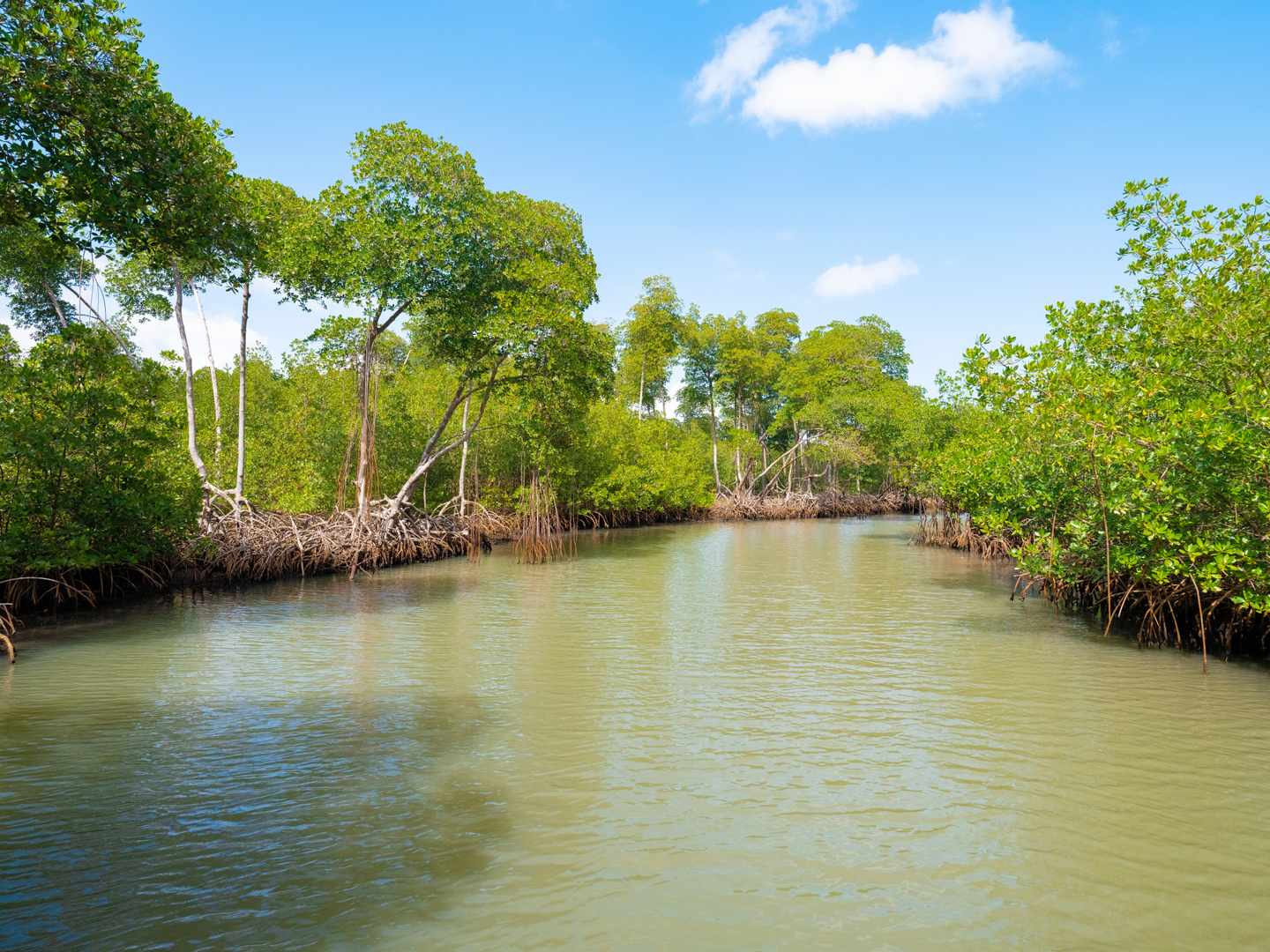 dom-rep-los-haitises-np-g-1326910871.jpg