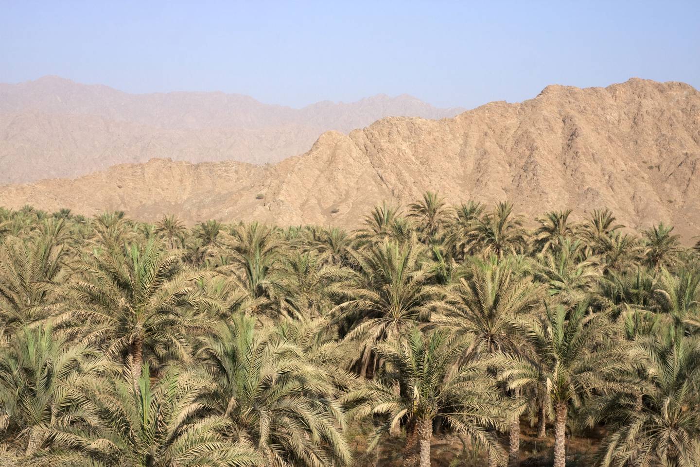 blt6dff1460a8bb82c6-oase-fujairah-t-160110225.jpg oase-fujairah-t-160110225.jpg