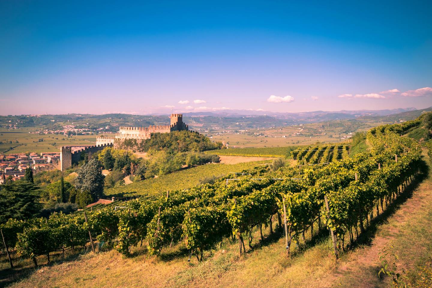 italien-venetien-soave-burg-klein-g-25869402.jpg