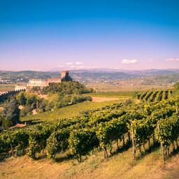 italien-venetien-soave-burg-klein-g-25869402.jpg
