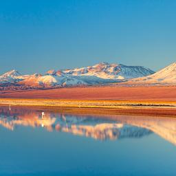 chile-atacama-flamingos-g-485740874.jpg