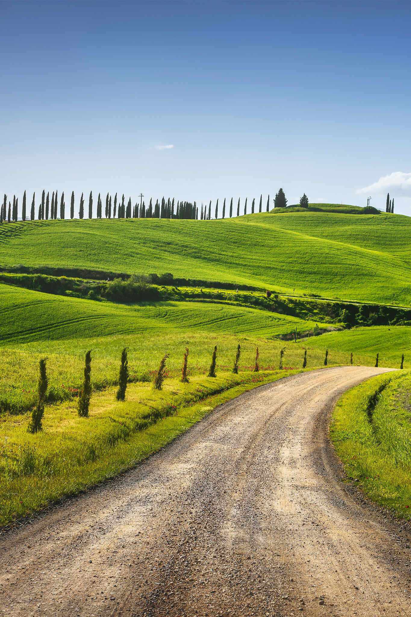 italien-hero-roadtrip-montenori-d-arabia-route-der-via-francigena-geschwugene-strasse-seina-toskana-g-1328381923.jpg