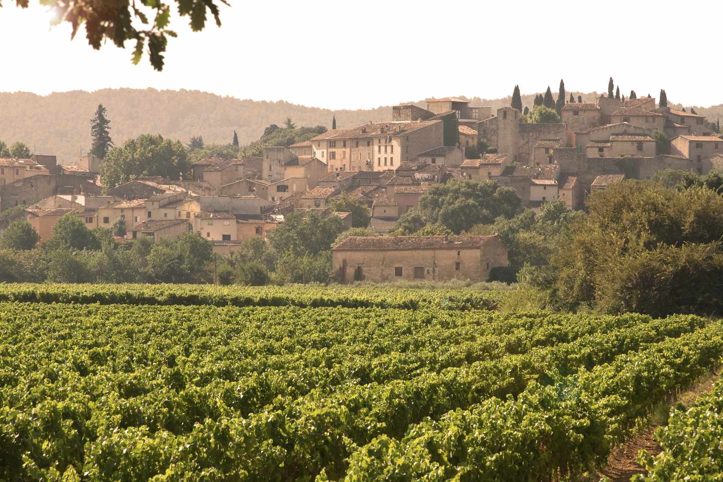 frankreich-provence-dorf-weinanbau-g-148188078.jpg