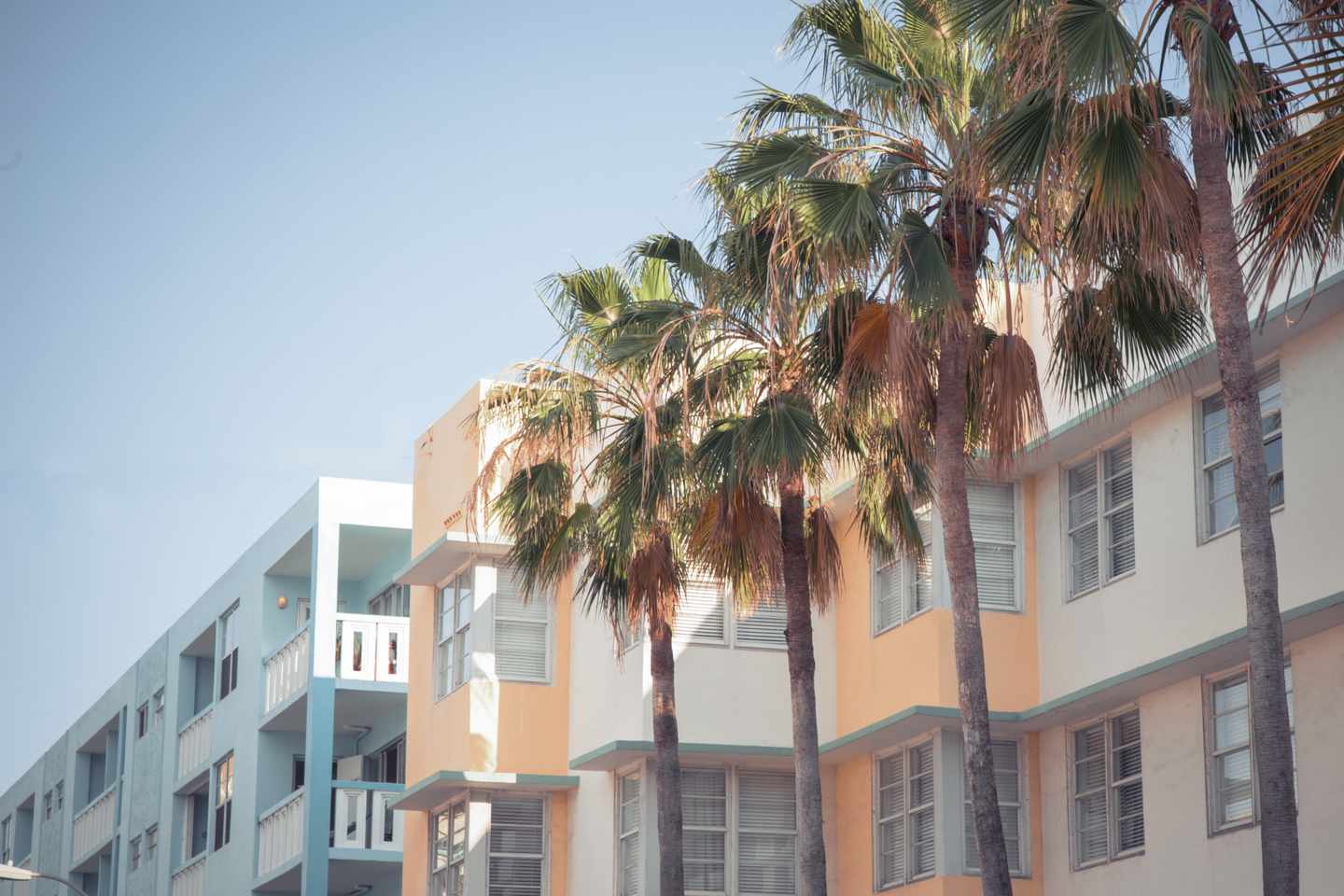 Typisch Florida: Urlaub unter Palmen