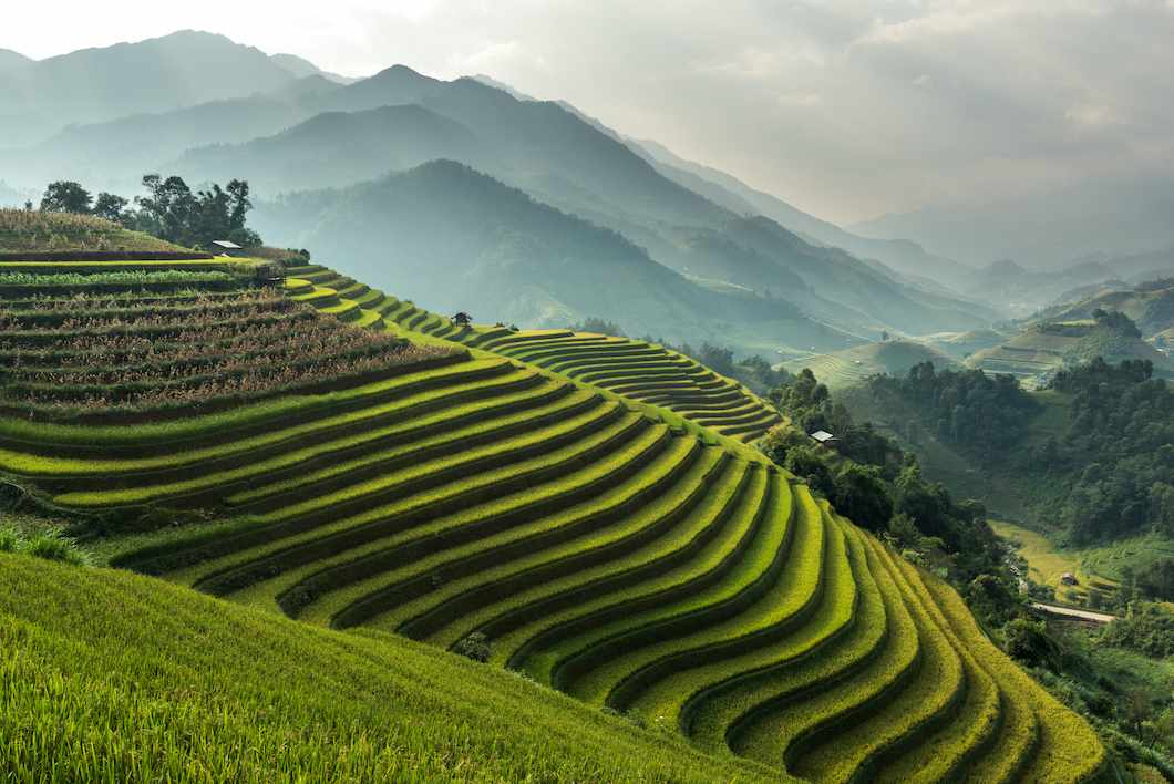 1_1_reisfelder_vietnam_asien_dertour_g-611609802.jpg