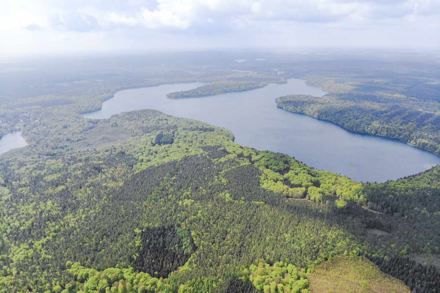 deutschland-brandenburg-stechlinsee-g-1222771769