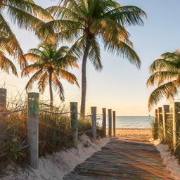 usa-florida-key-west-passage-zum-strand-bei-sonnenaufgang-g-861408794.jpg