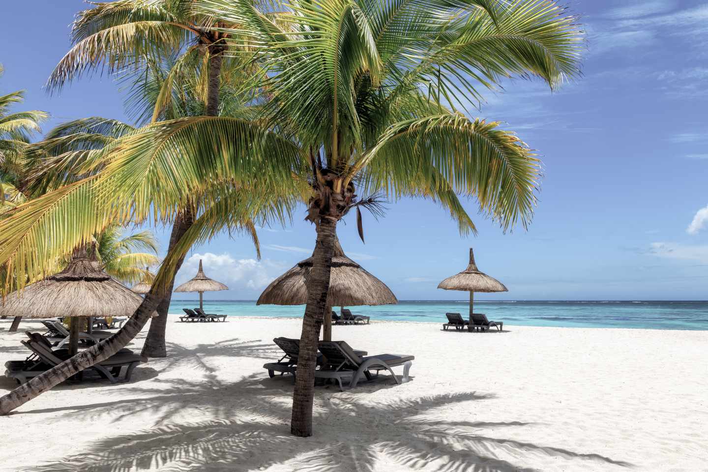 palme-am-strand-blauer-himmel-g-1461092307_bearbeitet.jpg