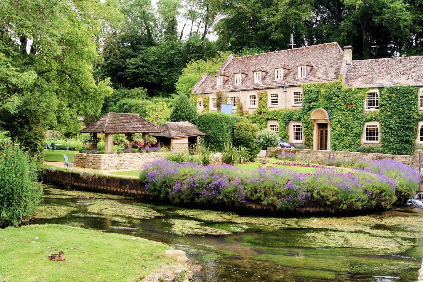bltbeaa2292c2926e9f-england-cotswolds-g-149709772-1.jpg Altes Steinhaus in Cotswolds, England mit Teich im Vordergrund und Efeu bewachsen