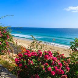 Hotels Morro Jable