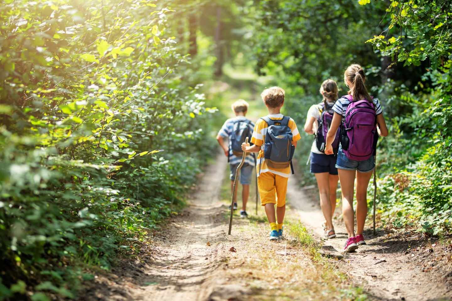 deutschland-bayern-wandern-mit-familie-g-1198107702.jpg