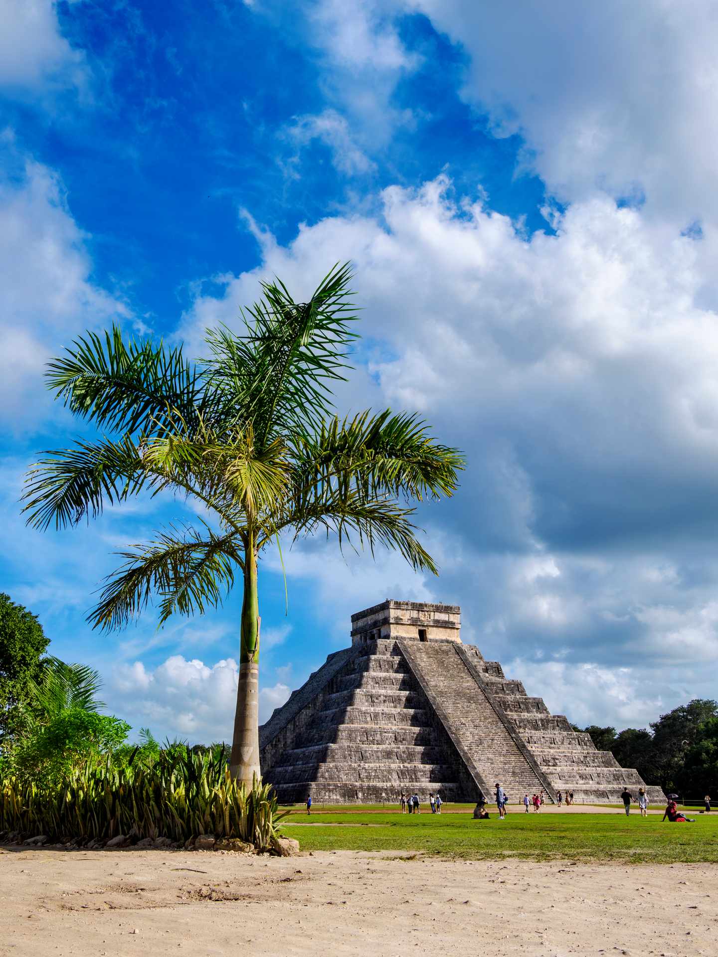 GettyImages-2232096985.jpg Tempel des Kukulcán mit Palme vor blauem Himmel
