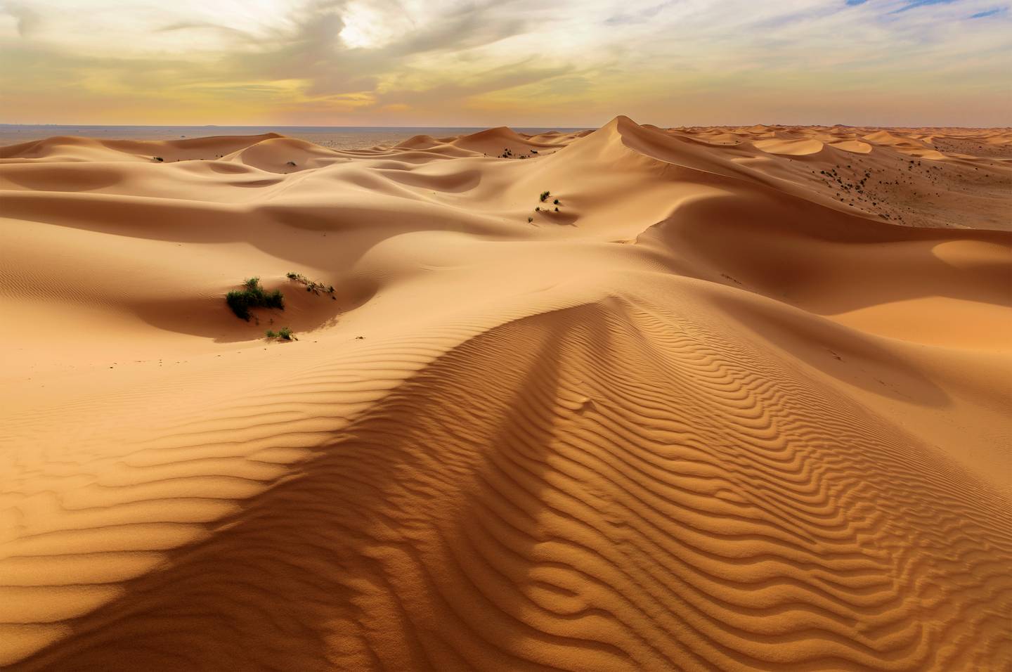 saudi-arabien-wueste-duenen-g-1358816270.jpg