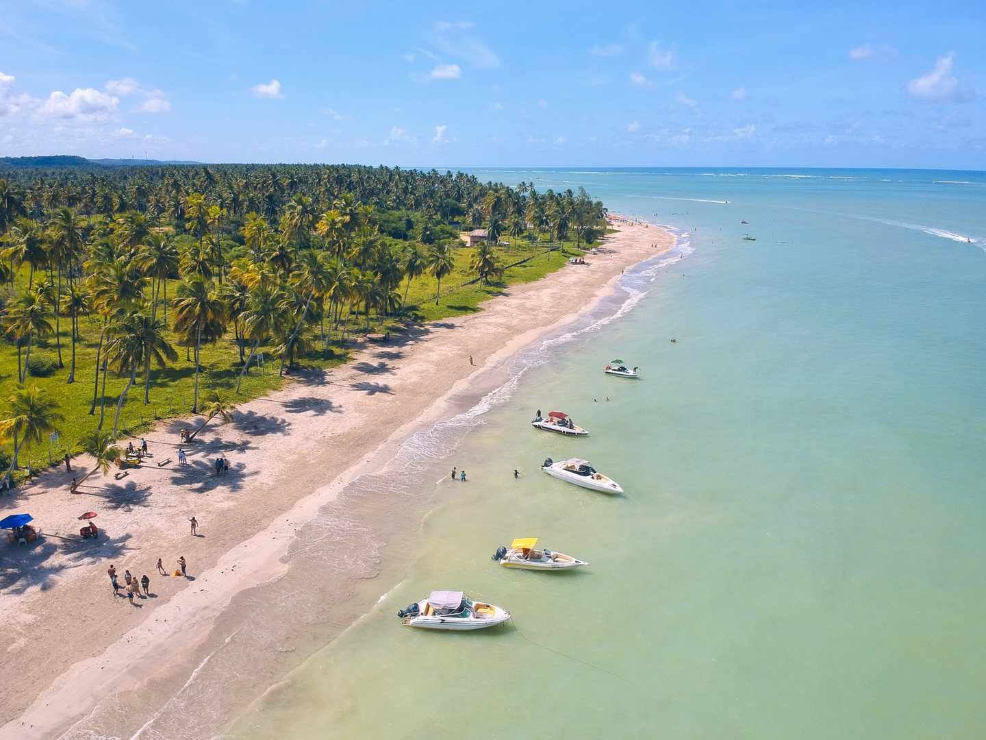 brasilien-maragogi-strand-luftaufnahme-g-1371183752.jpg