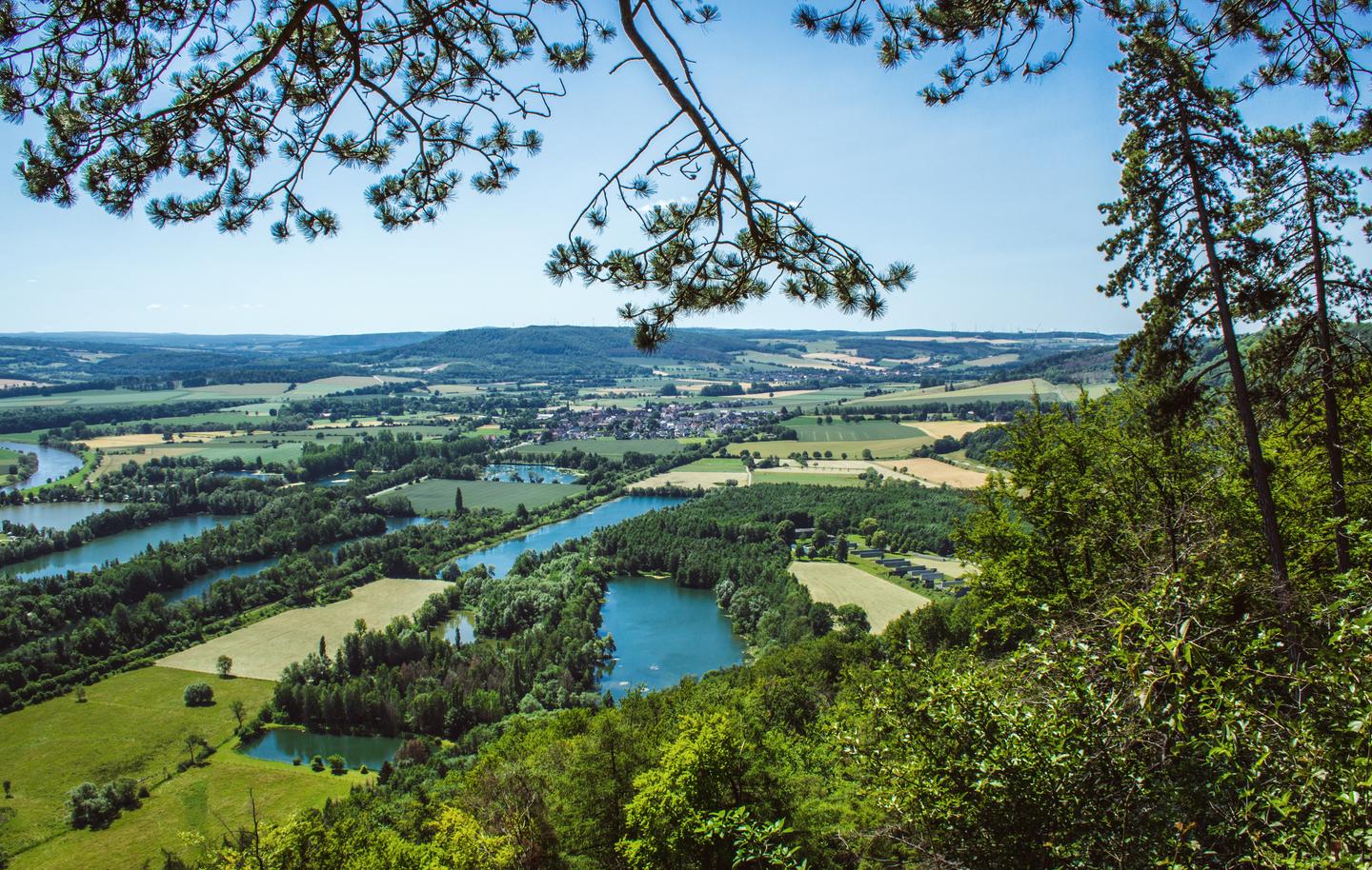 blt2fd16deed287988c-deutschland-nrw-natur-g-1280363390.jpg deutschland-nrw-natur-g-1280363390.jpg