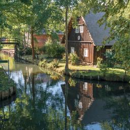 deutschland-brandenburg-spreewald-luebbenau-kanal-g-1047058284.jpg