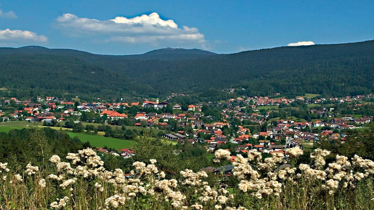 bodenmais-bayerischer-wald-p-W52894_E-7684376.jpg