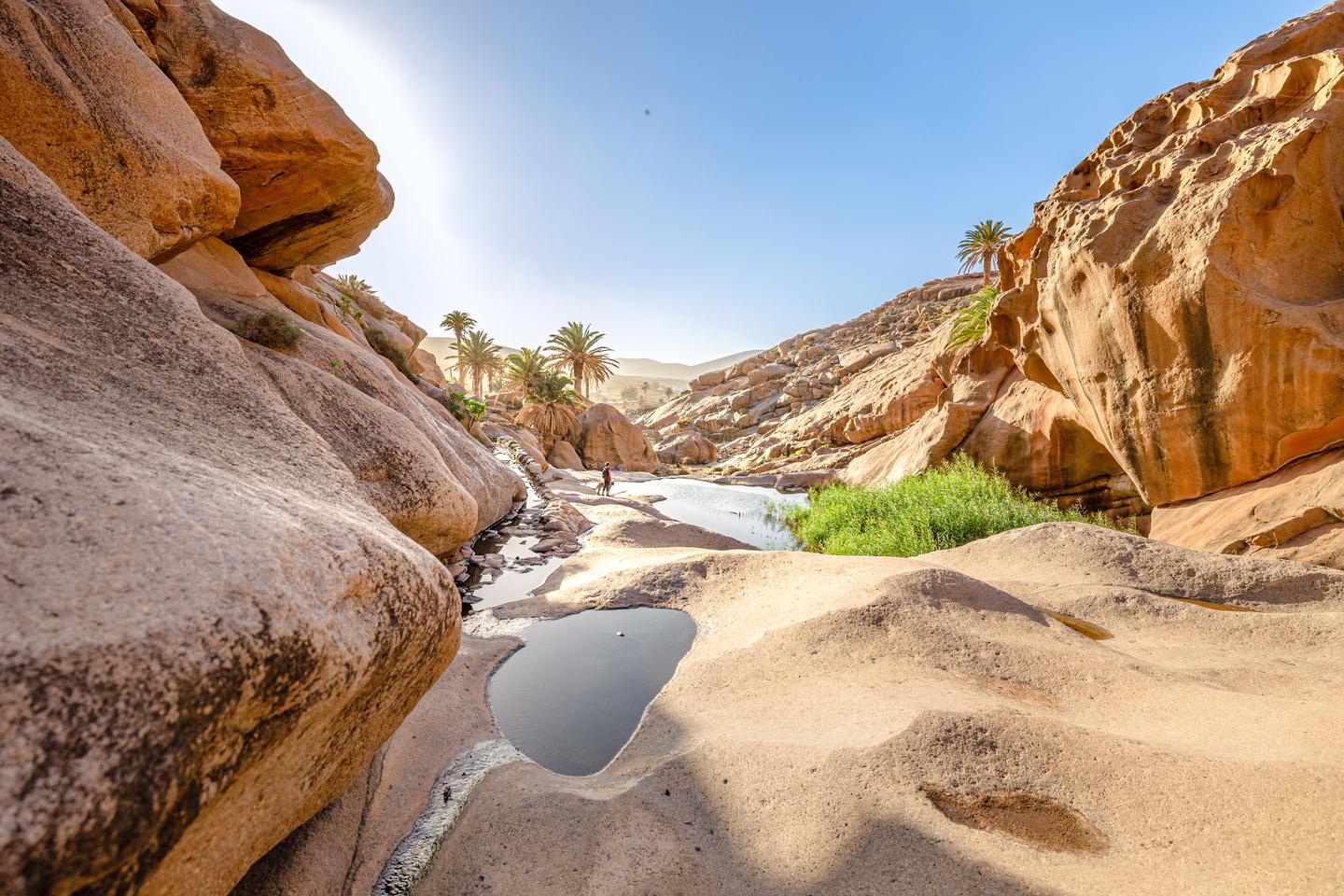 spanien-kanaren-fuerteventura-las-penitas-oase-palmen-felsen-wasserlauf-wanderung-sehenswuerdigkeiten-g-1454697625.jpg