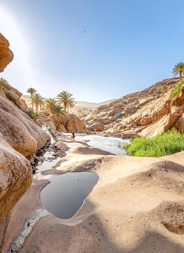 Fuerteventuras Sehenswürdigkeiten spanien-kanaren-fuerteventura-las-penitas-oase-palmen-felsen-wasserlauf-wanderung-sehenswuerdigkeiten-g-1454697625.jpg