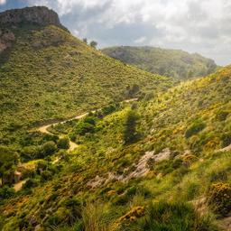spanien-mallorca-llevant-berge-von-alta-g-1315859201.jpg