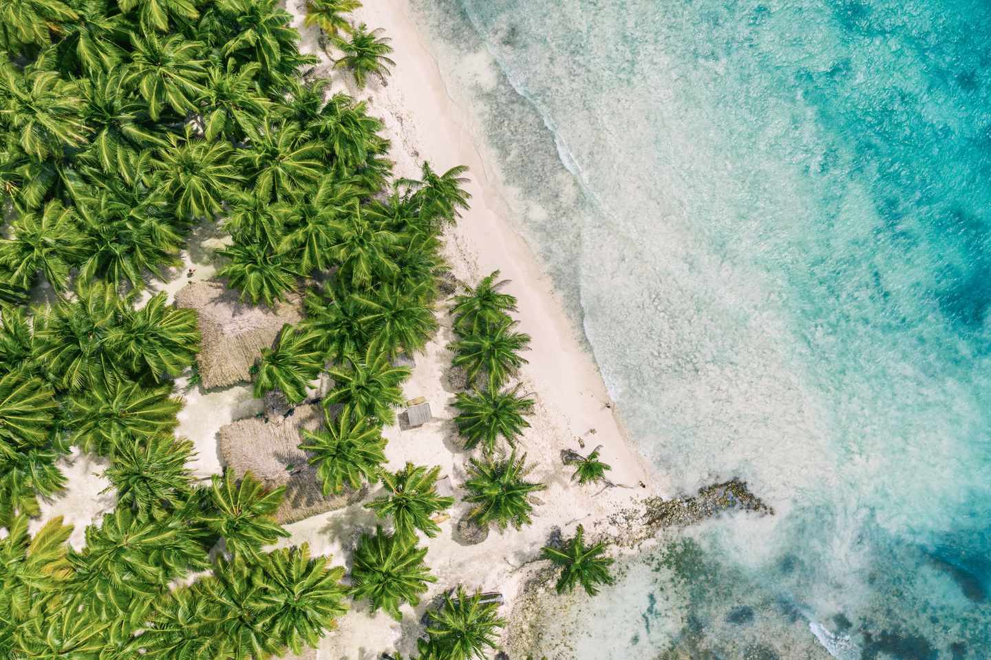 karibik-dominikanische_republik-saona_island-g-1307068986.jpg