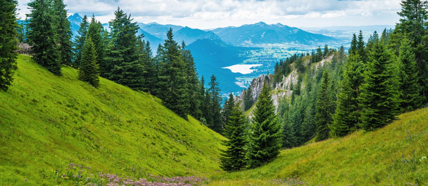 deutschland-bayerischer-wald-g-1366208491.jpg