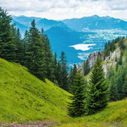 Urlaub Bayerischer Wald