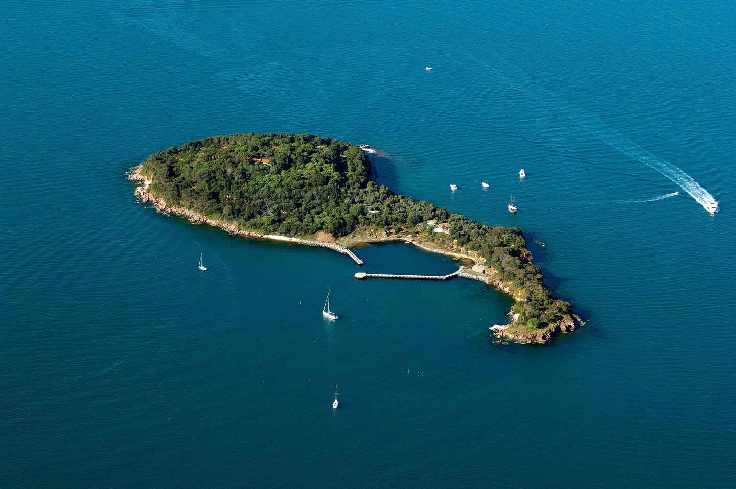 tuerkei-istanbul-prinzeninseln-luftaufnahme-g-846082858.jpg