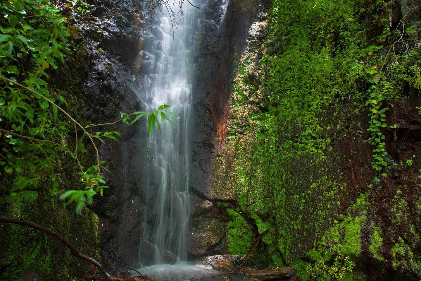 blt86dda7c365019e0a-spanien-gran-canaria-falkenschlucht-wasserfall-g-543455998.jpg Gran Canaria Falkenschlucht Wasserfall