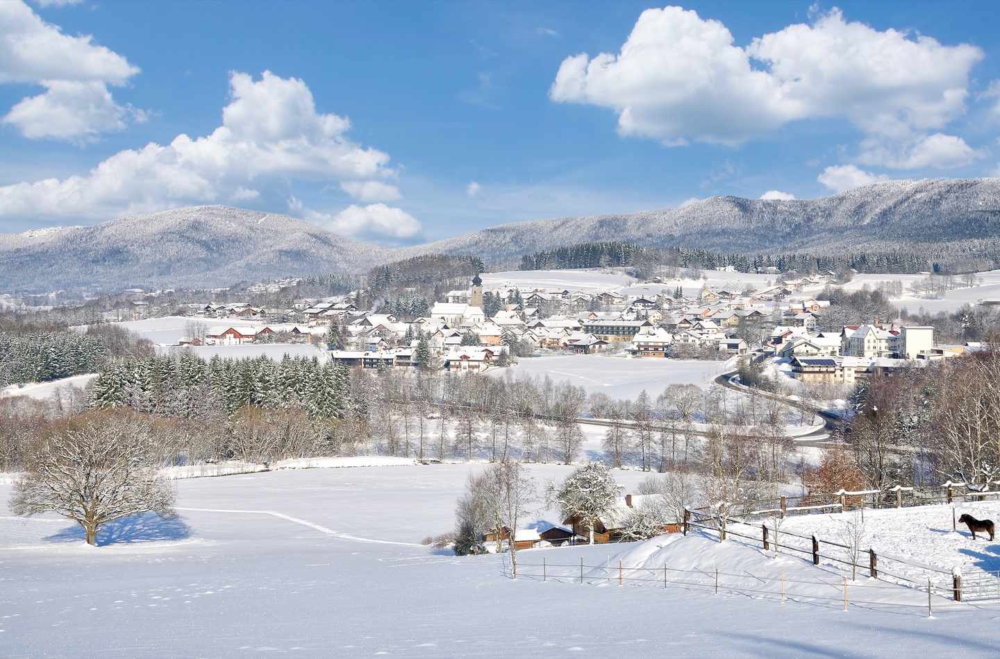 bayern-drachselsried-winter-g-1062569626.jpg