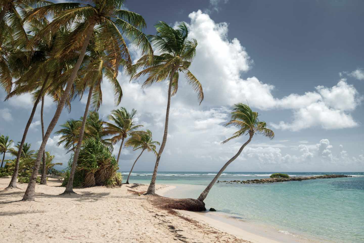 karibik-guadeloupe-saint-anne-caravelle-strand-g-1129597797.jpg