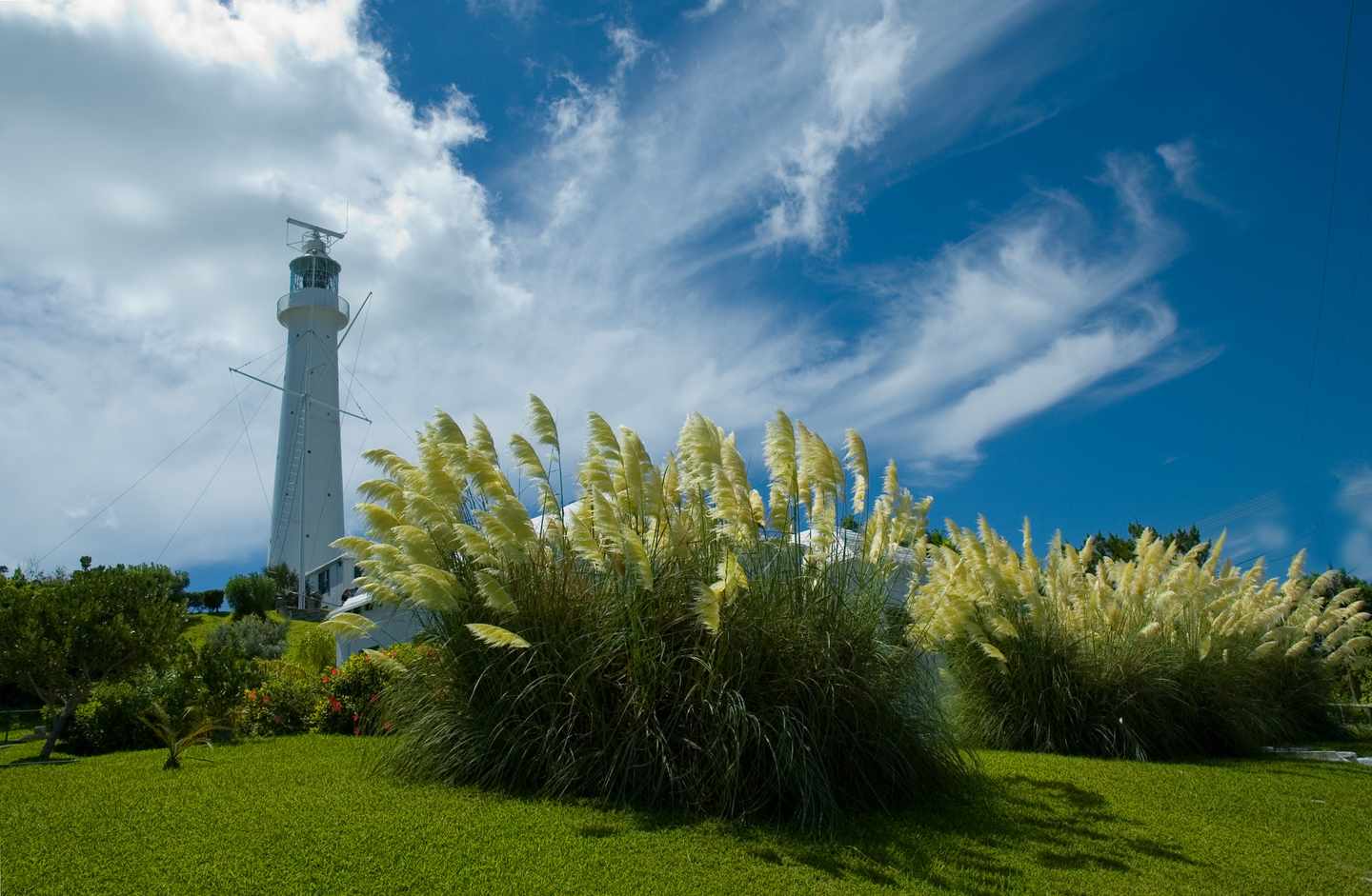 bermuda-gibbs-hill-leuchtturm-t-139978305.jpg