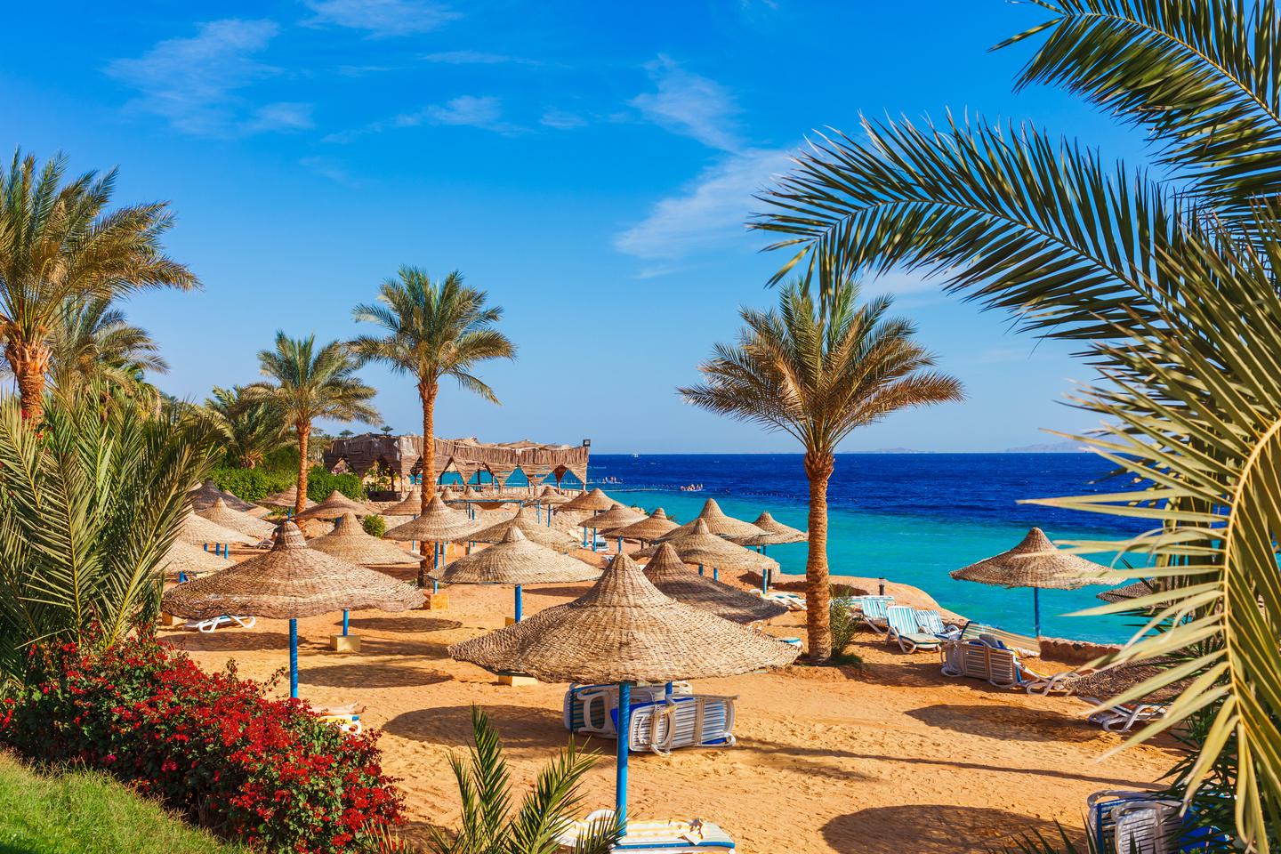 sharm-el-sheikh-all-inclusive-hotels-g-1173359888.jpg