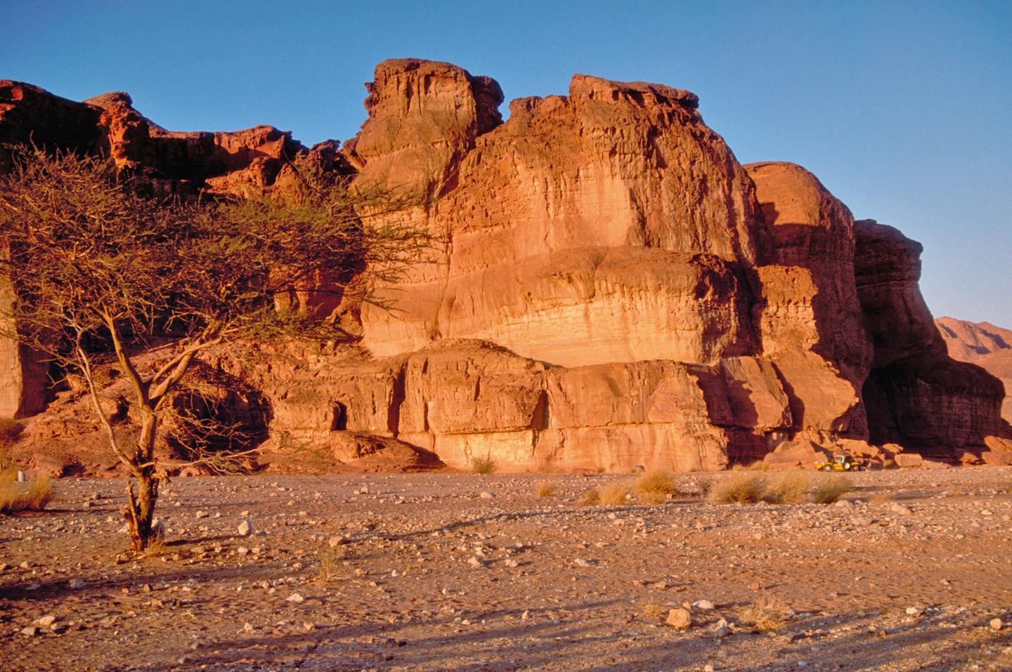 isreal-wueste-negev-p-V30608.jpg