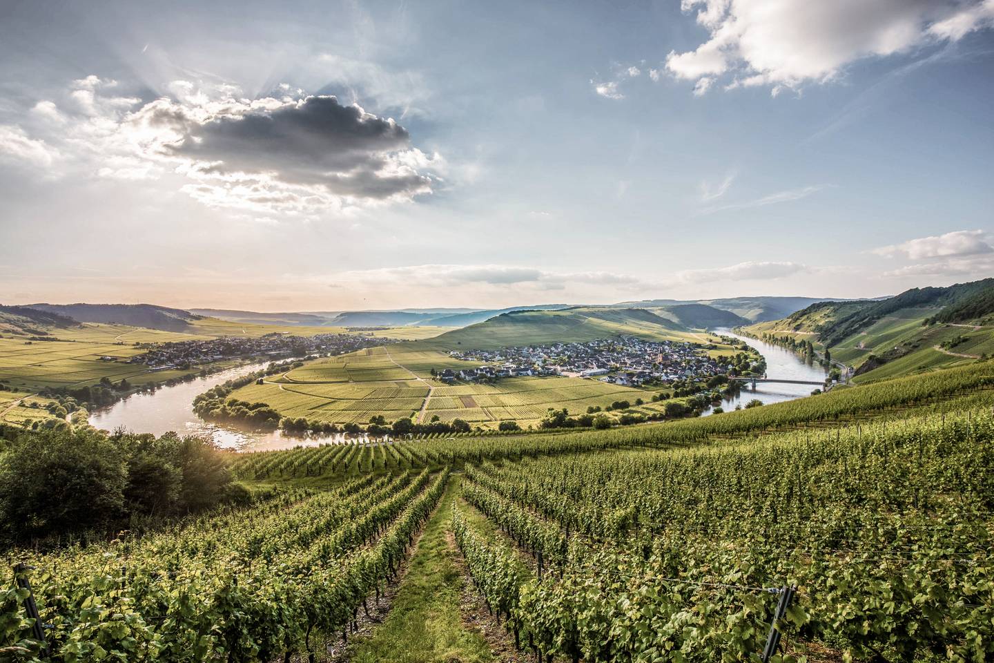 deutschland-mosel-trittenheim-g-598556960.jpg