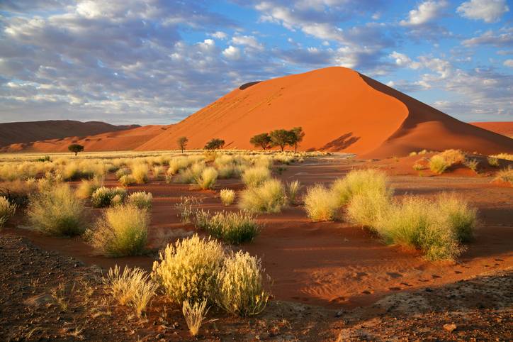blt4406ada32bea9f7f-namibia-sandduenen-t-148225451.jpg namibia-sandduenen-t-148225451.jpg