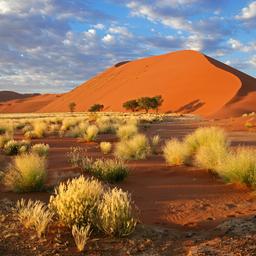namibia-sandduenen-t-148225451.jpg