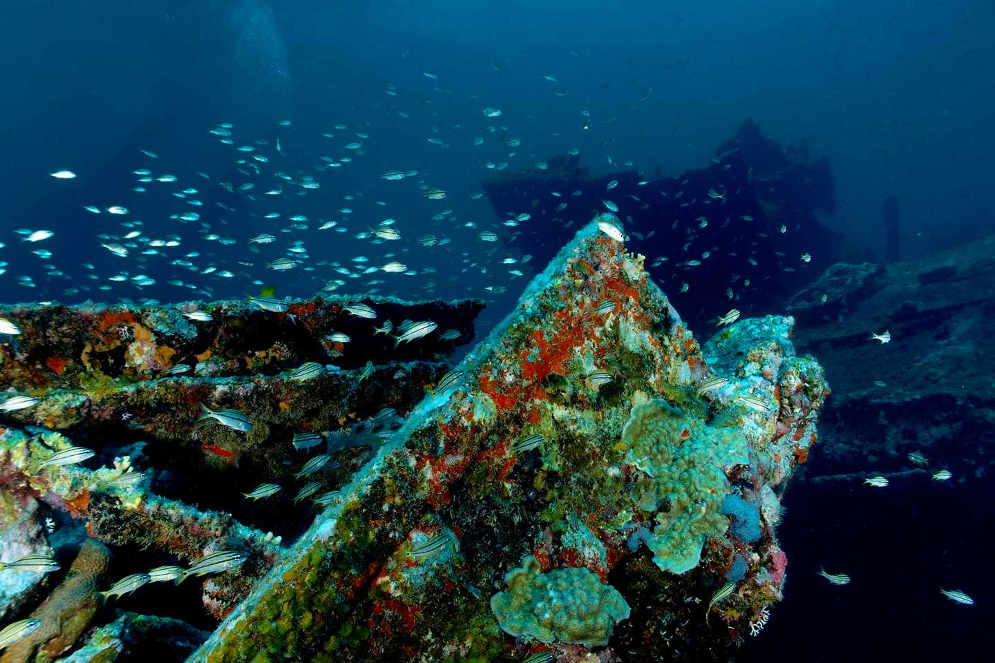 karibik-aruba-antilla-schiffswrack-g-638717202.jpg